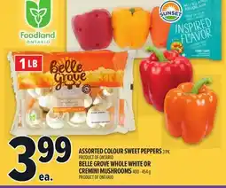 Metro SUNSET ASSORTED COLOUR SWEET PEPPERS offer
