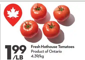 Longo's Fresh Hothouse Tomatoes offer
