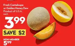 Longo's Fresh Cantaloupe or Golden Honey Dew offer