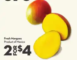 Longo's Fresh Mangoes offer