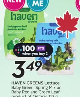 Sobeys HAVEN GREENS Lettuce offer