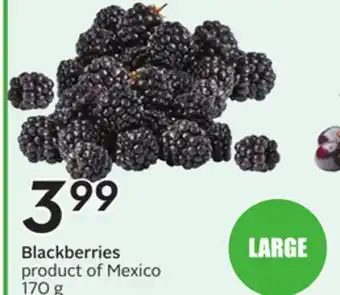 Sobeys Blackberries offer