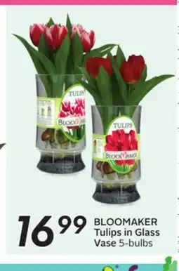 Sobeys BLOOMAKER Tulips in Glass Vase offer