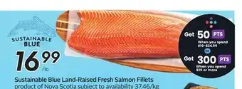 Sobeys Blue Land-Raised Fresh Salmon Fillets offer