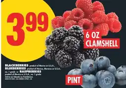 No Frills BLACKBERRIES, 6 OZ CLAMSHELL, BLUEBERRIES, PINT OR RASPBERRIES offer