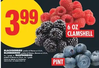No Frills BLACKBERRIES, 6 OZ CLAMSHELL, BLUEBERRIES, PINT OR RASPBERRIES offer