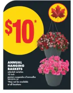 No Frills ANNUAL HANGING BASKETS, 10 INCH offer