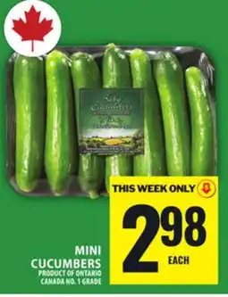 Food Basics MINI CUCUMBERS offer