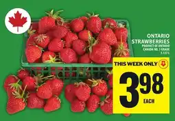 Food Basics ONTARIO STRAWBERRIES offer