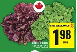 Food Basics GREEN OR RED LEAF LETTUCE offer