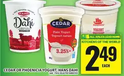 Food Basics CEDAR OR PHOENICIA YOGURT, HANS DAHI offer