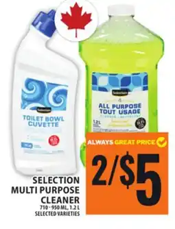 Food Basics SELECTION MULTI PURPOSE CLEANER offer
