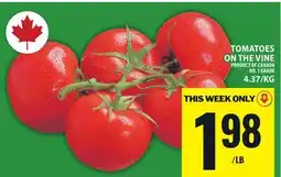 Food Basics TOMATOES ON THE VINE offer