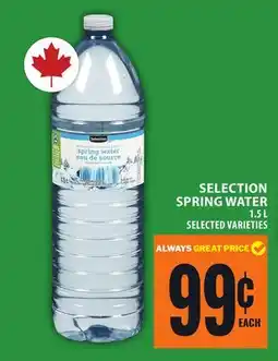 Food Basics SELECTION SPRING WATER offer