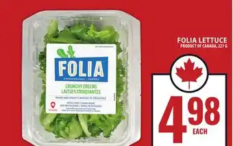 Food Basics FOLIA LETTUCE offer