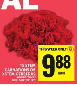 Food Basics 15 STEM CARNATIONS OR 8 STEM GERBERAS offer