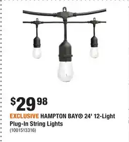 Home Depot EXCLUSIVE HAMPTON BAY 24' 12-Light Plug-In String Lights offer