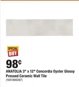 Home Depot ANATOLIA 3 x 12 Concordia Oyster Glossy Pressed Ceramic Wall Tile offer