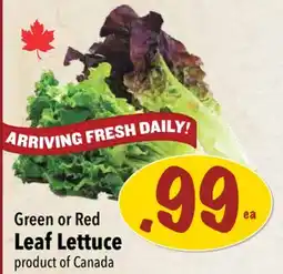 Farm Boy Green or Red Leaf Lettuce offer