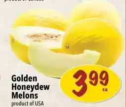 Farm Boy Golden Honeydew Melons offer
