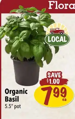 Farm Boy Organic Basil offer