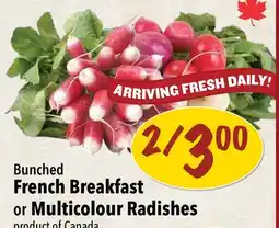Farm Boy Bunched French Breakfast or Multicolour Radishes offer