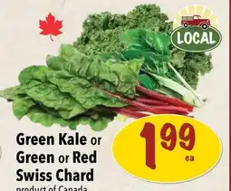 Farm Boy Green Kale or Green or Red Swiss Chard offer