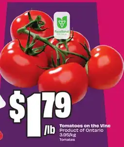 FreshCo Tomatoes on the Vine Product of Ontario 3.95/kg offer