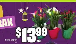 FreshCo Calla Lily 6 offer