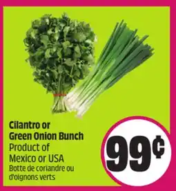 FreshCo Cilantro or Green Onion Bunch Product of Mexico or USA offer