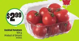 FreshCo Cocktail Tomatoes 454 g Product of Ontario offer