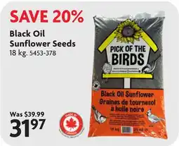 Home Hardware Black Oil Sunflower Seeds offer