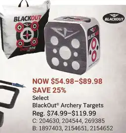 Cabela's BlackOut Archery Targets offer
