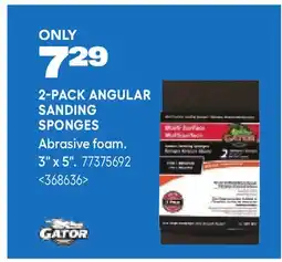 RONA 2-PACK ANGULAR SANDING SPONGES offer