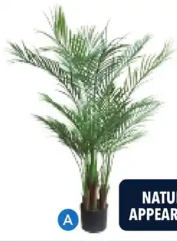 RONA ARTIFICIAL PLANTS offer