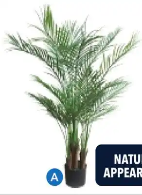 RONA ARTIFICIAL PLANTS offer