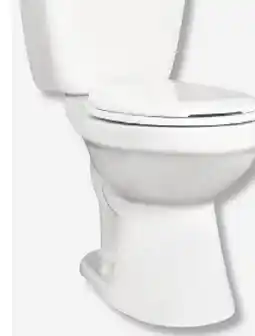 RONA ROSE DUAL FLUSH 2-PIECE ROUND TOILET offer