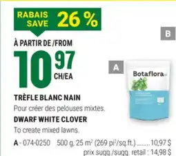 BMR TRÈFLE BLANC NAIN offer