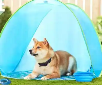 Petvalu Jump! Cooling Tent and Dog Bowl offer