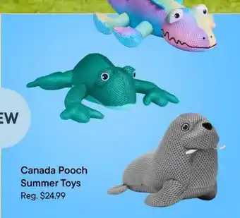 Petvalu Canada Pooch Summer Toys offer