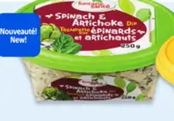 Walmart Fontaine Santé Dips offer