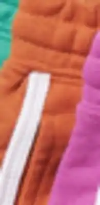 Walmart Dolphin Shorts offer