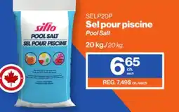 Patrick Morin Pool Salt offer