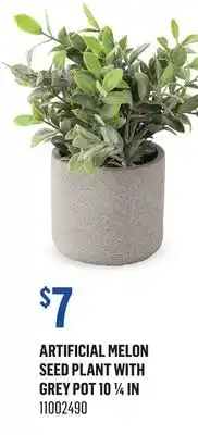 Canac Artificial Melon Seed Plant with Grey Pot offer