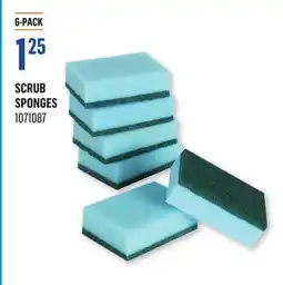 Canac Scrub Sponges offer