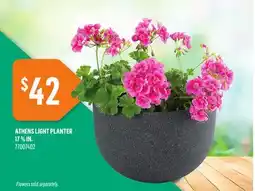 Canac Athens Light Planter offer