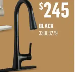 Canac Mikah Pull-Out Kitchen Faucet offer