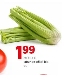 Avril Cœur de céleri bio offer