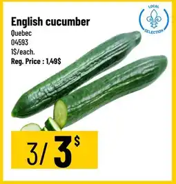 Mayrand English cucumber Quebec offer