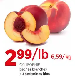 Avril Pêches blanches ou nectarines bios offer
